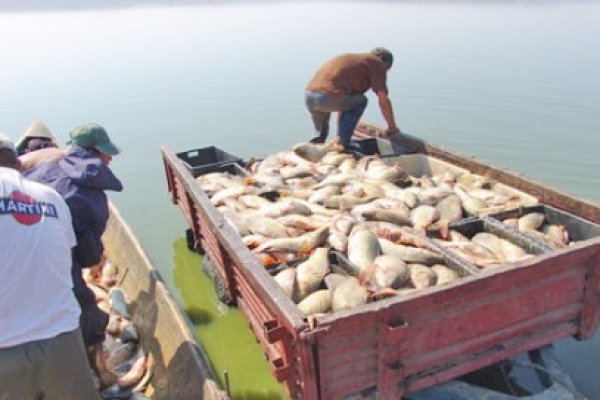 Permisele de pescuit din 2011, valabile până pe 12 iunie